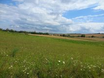 Działka rolno-budowlana Głotowo. Zdjęcie 2