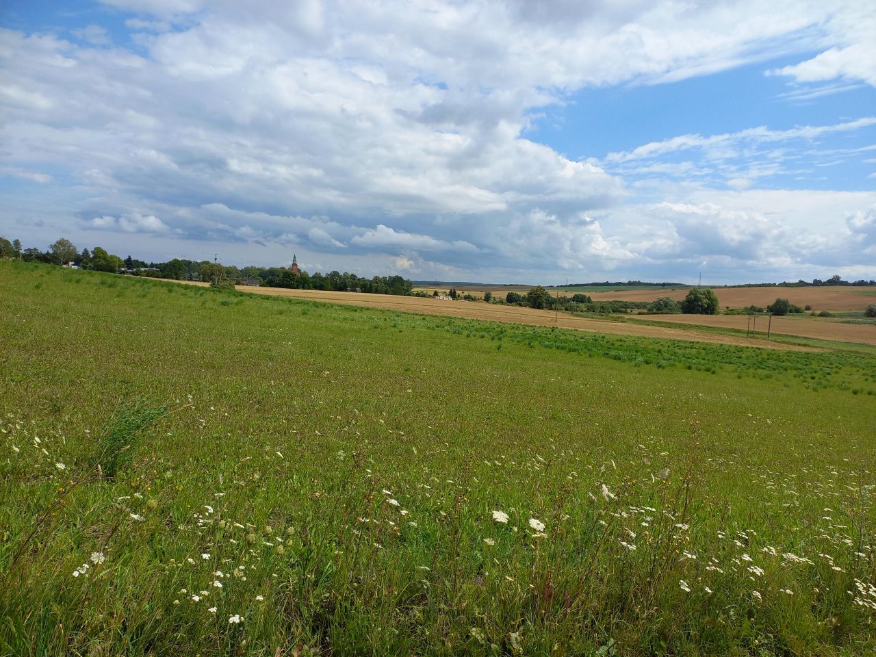 Działka rolno-budowlana Głotowo. Zdjęcie 3