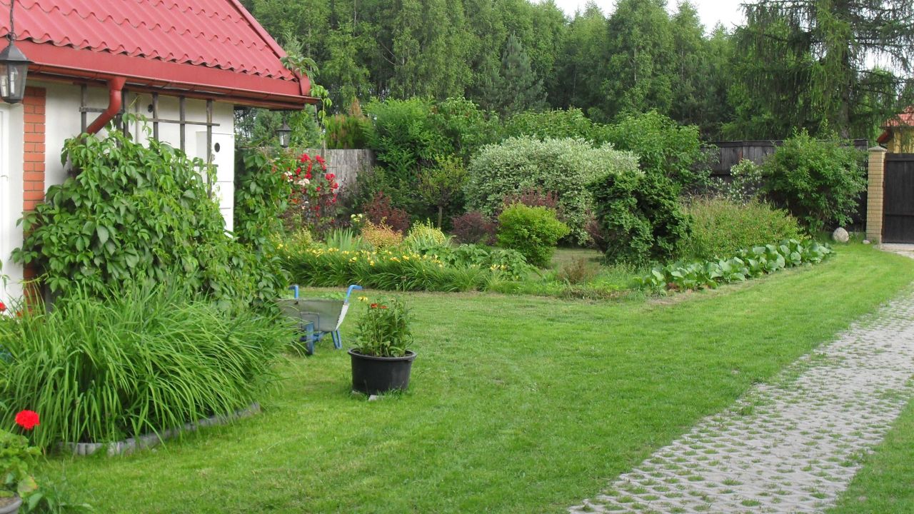 dom wolnostojący Nowy Jasieniec Iłżecki. Zdjęcie 5