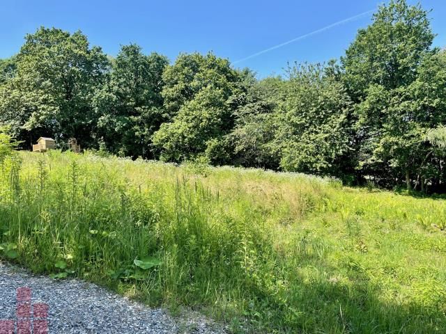 Działka budowlana Żerkowice. Zdjęcie 1