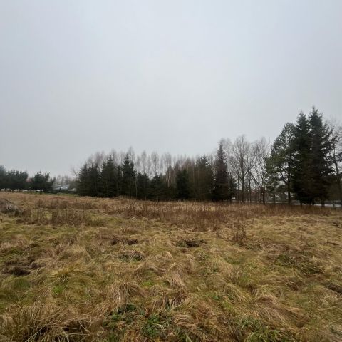 Działka budowlana Międzylesie, Zielona. Zdjęcie 1