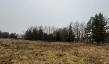 Działka budowlana Międzylesie, Zielona