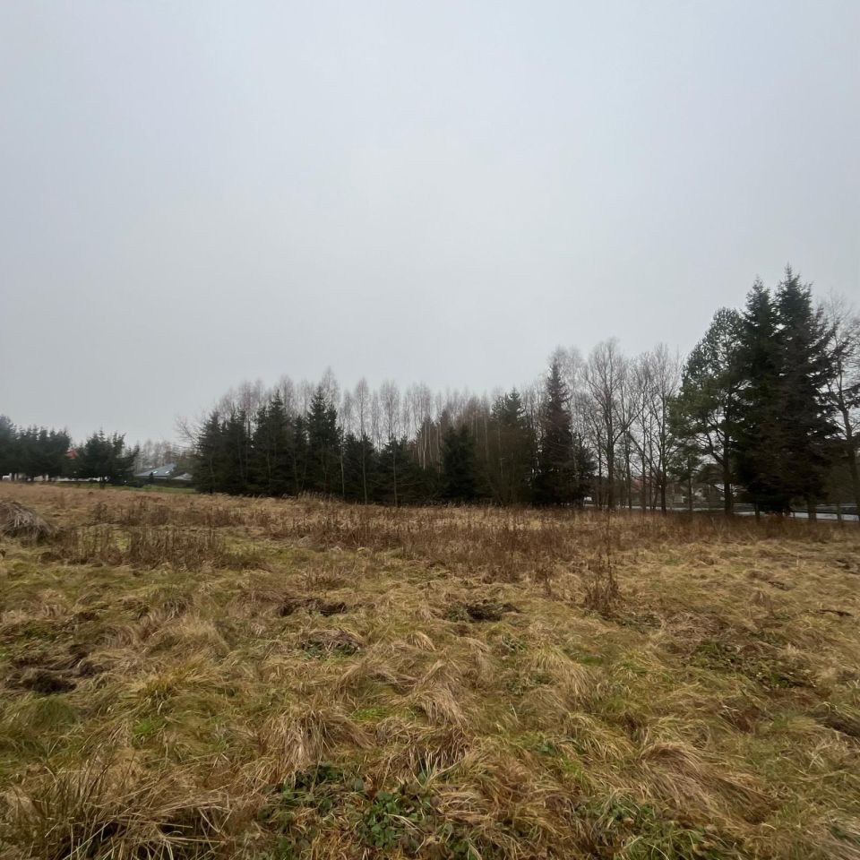 Działka budowlana Międzylesie, Zielona