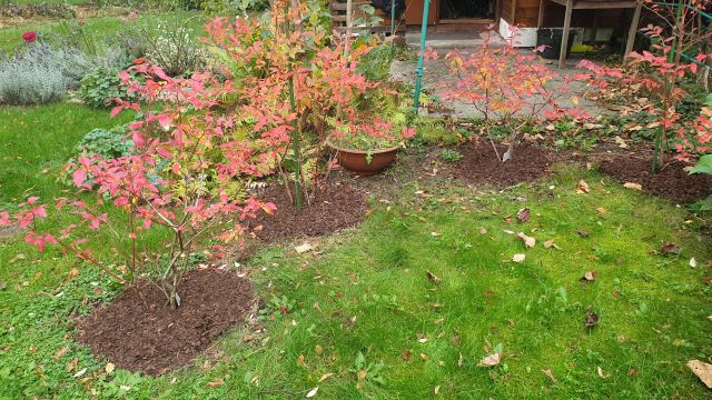 Działka rod Warszawa Marymont, ul. Klaudyny. Zdjęcie 14