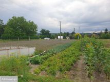 Działka budowlana Wyżnianka-Kolonia. Zdjęcie 2