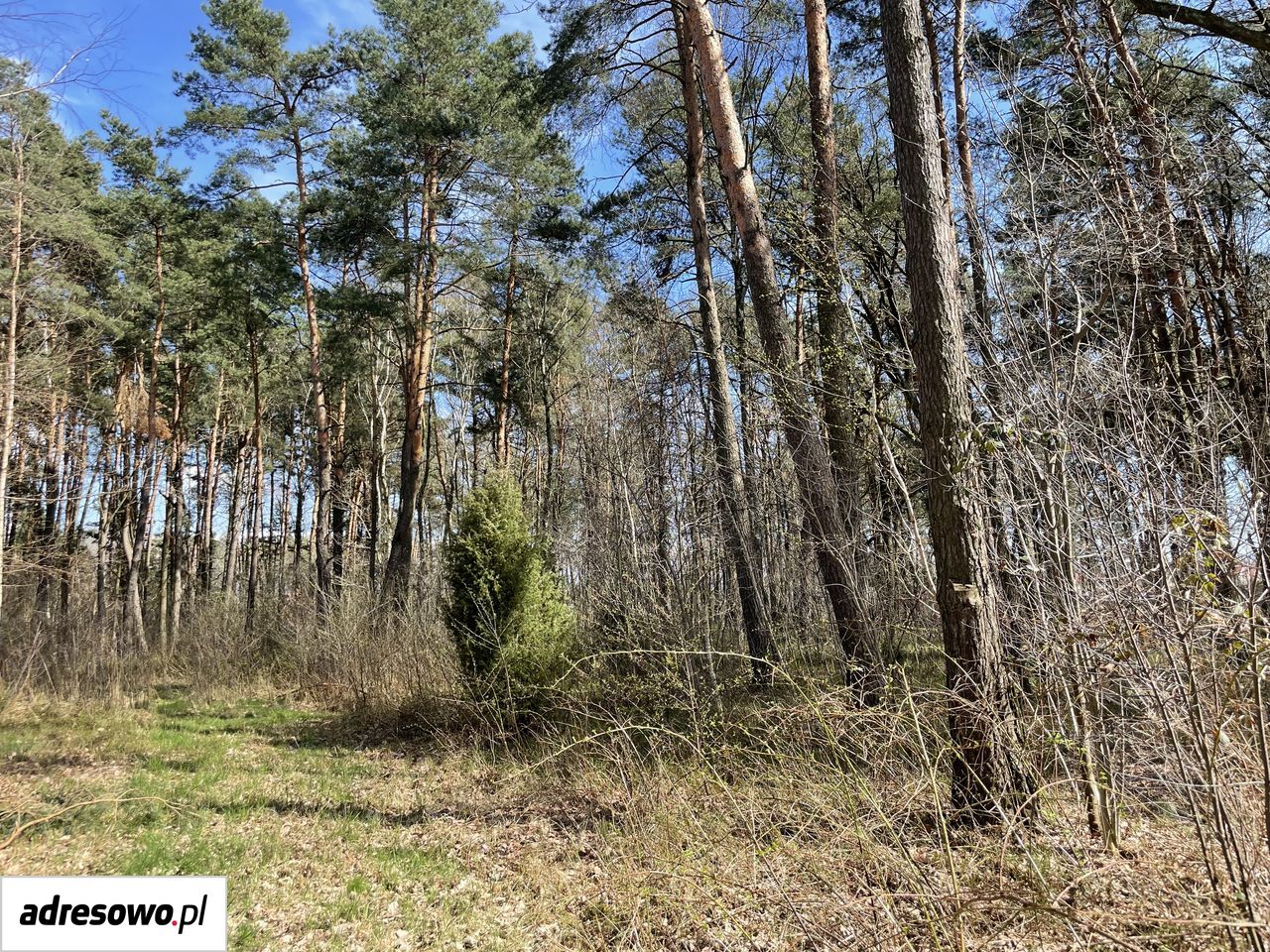 Działka budowlana Władysławów, ul. Przedwiośnia. Zdjęcie 8