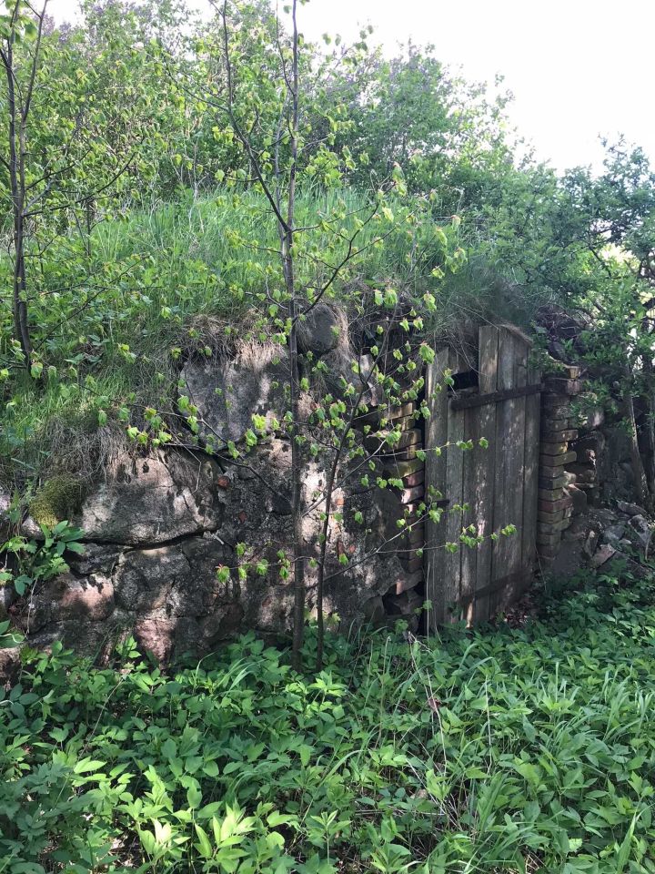 Działka rolno-budowlana Wronki. Zdjęcie 8