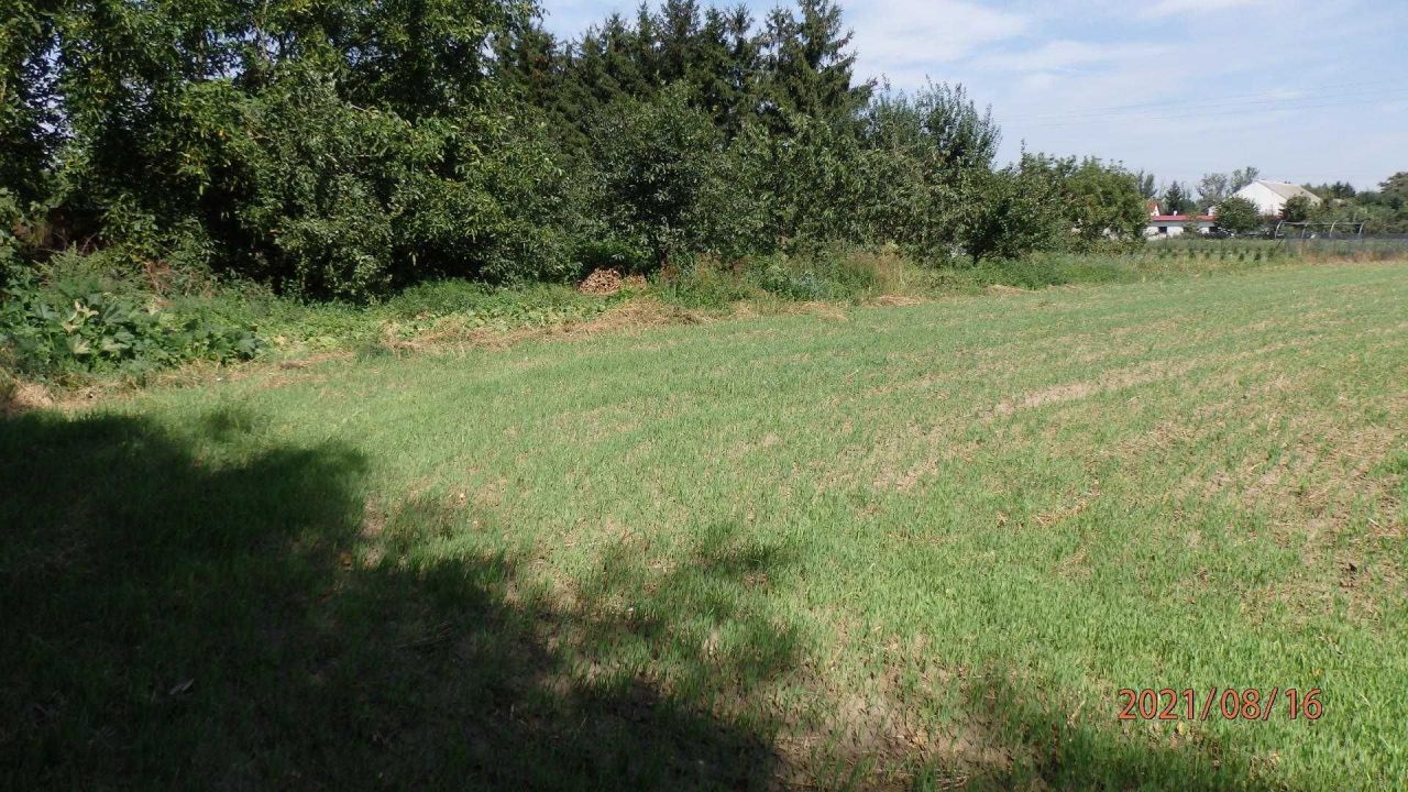 Działka budowlana Głogówko Królewskie, ul. Długa. Zdjęcie 6