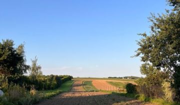 Działka na sprzedaż Prusy  4900 m2