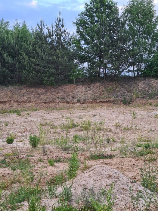 Działka budowlana Brodnica, ul. Wczasowa. Zdjęcie 4