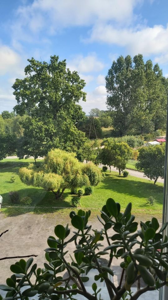 Mieszkanie 3-pokojowe Tolko. Zdjęcie 7