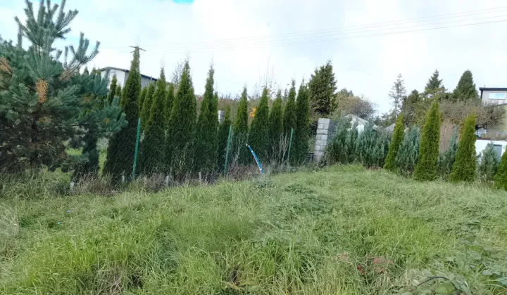 Działka rod Gdańsk Jasień, ul. Kartuska