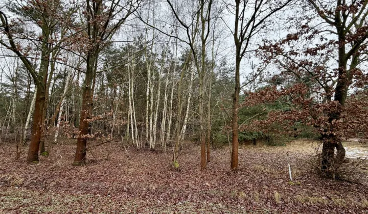 Działka rekreacyjna Mniszki A