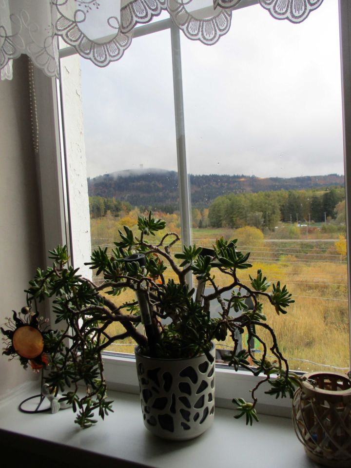 Mieszkanie 2-pokojowe Boguszów-Gorce Kuźnice Świdnickie. Zdjęcie 2