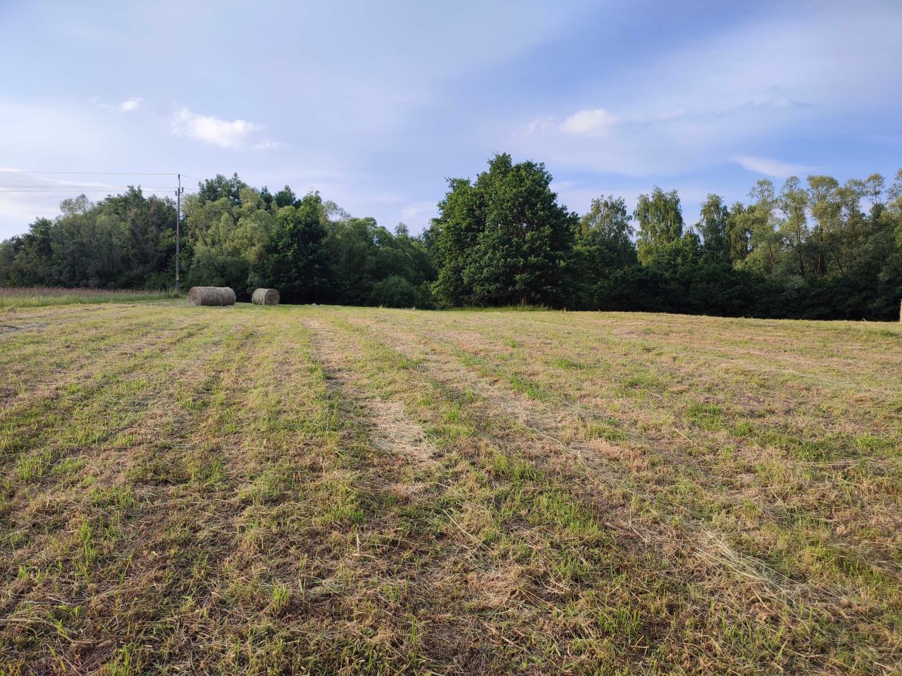 Działka rolno-budowlana Wola Radziszowska Chożyny, ul. Stawiski. Zdjęcie 4