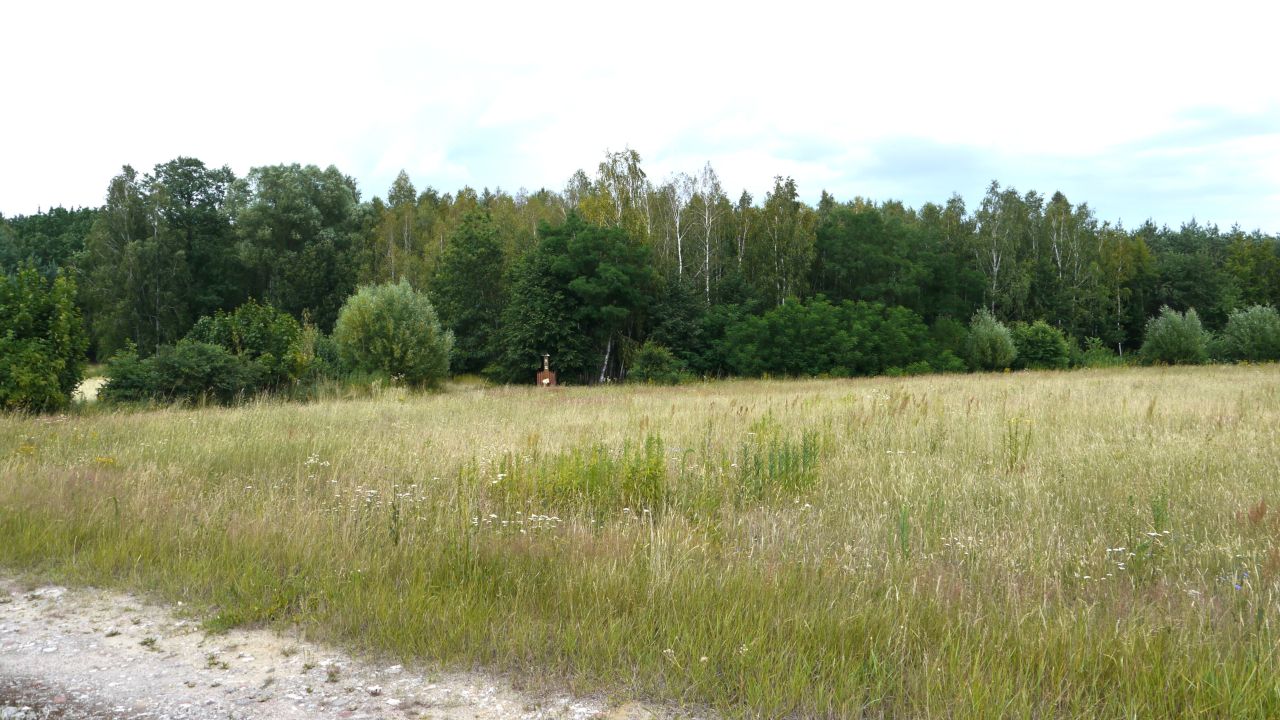 Działka budowlana Stara Huta. Zdjęcie 9