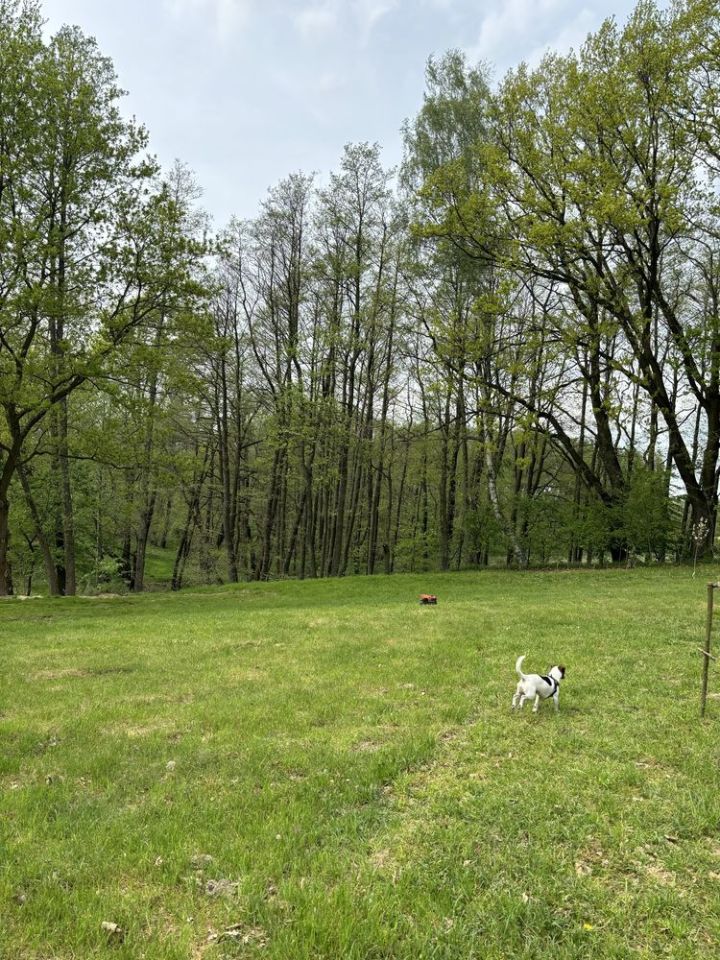 Działka budowlana Wodzisław Śląski Kokoszyce, ul. Oraczy. Zdjęcie 5