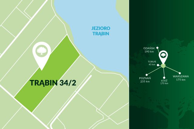 Działka rolna Trąbin-Wieś. Zdjęcie 5