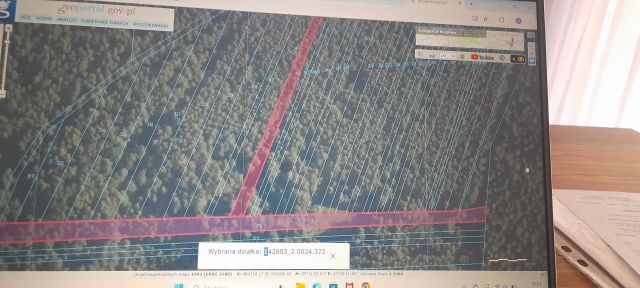 Działka leśna Sionna. Zdjęcie 1