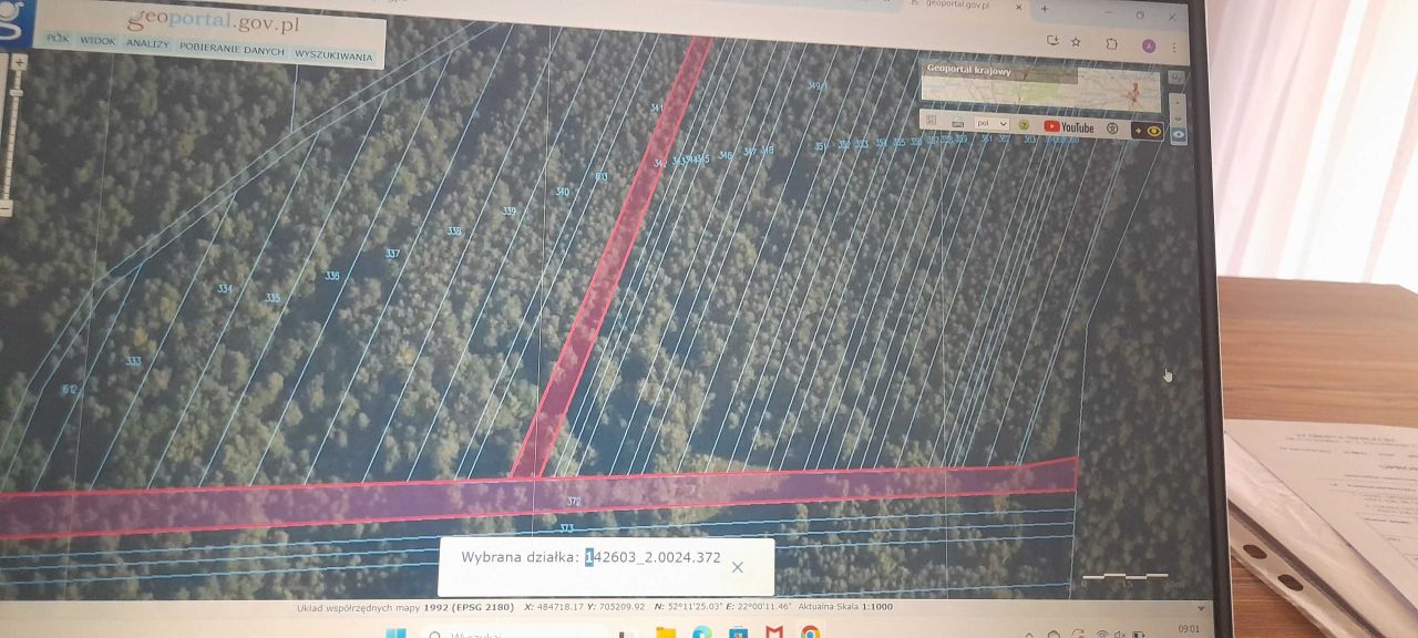 Działka leśna Sionna