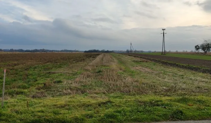 Działka budowlana Wygoda