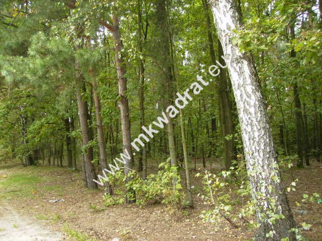 Działka budowlana Marynin. Zdjęcie 2