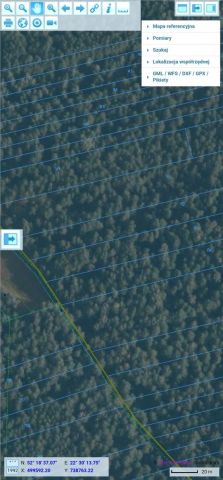 Działka leśna Trębice Dolne. Zdjęcie 1