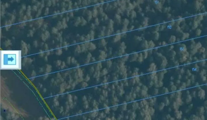 Działka leśna Trębice Dolne