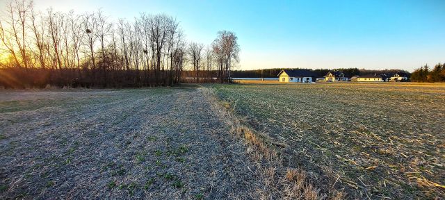 Działka budowlana Płoskie. Zdjęcie 1