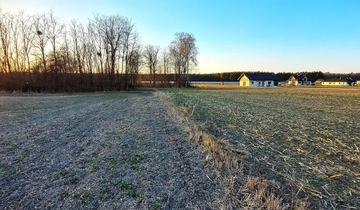 Działka budowlana Płoskie