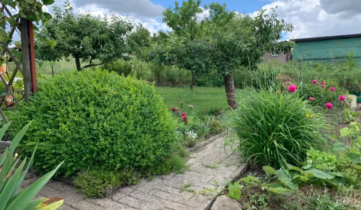 Działka rod Połczyn-Zdrój, ul. Traugutta