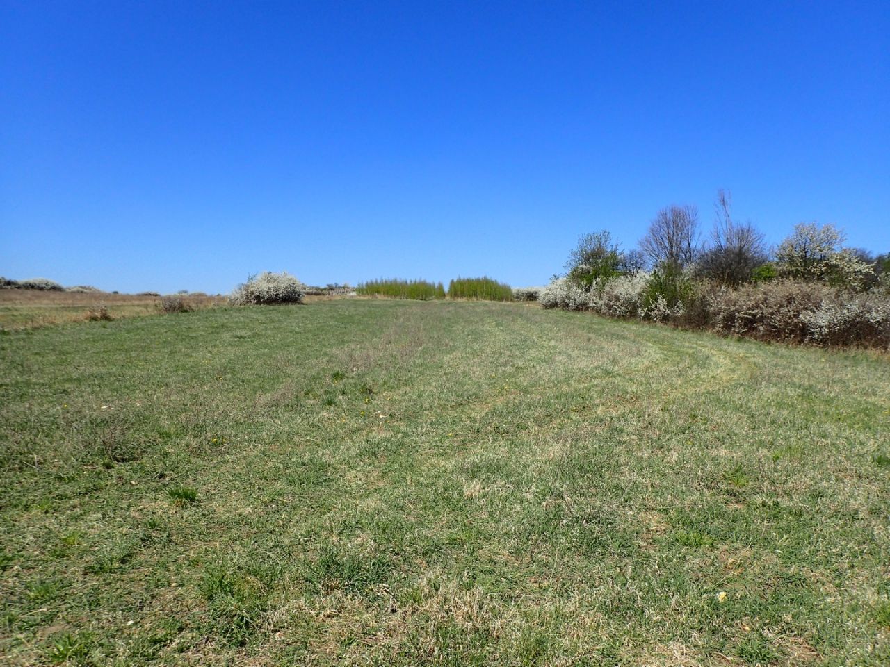 Działka rolna Siedlec. Zdjęcie 7