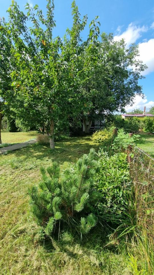 Działka rod Chełmno. Zdjęcie 4