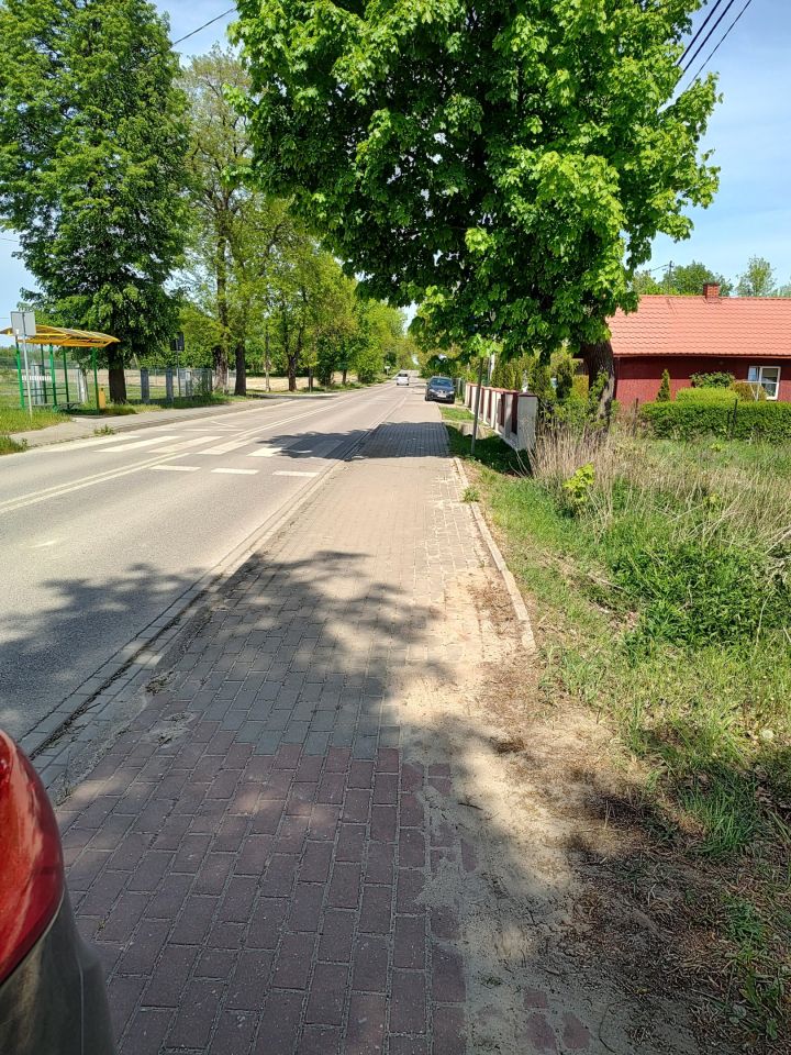 Działka budowlana Dąbrowa. Zdjęcie 4