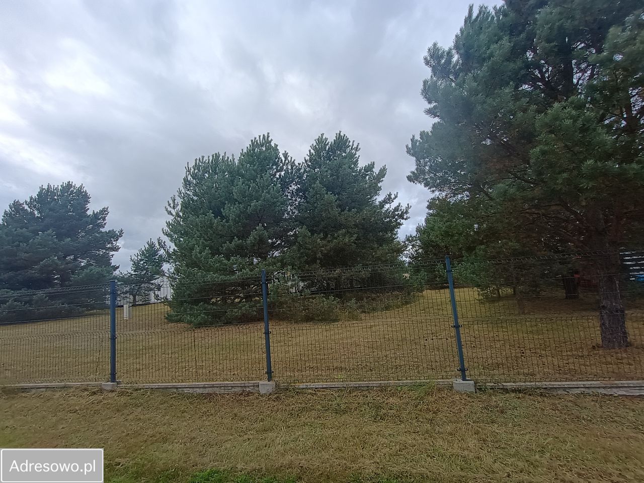 Działka rekreacyjna Drzonowo. Zdjęcie 15