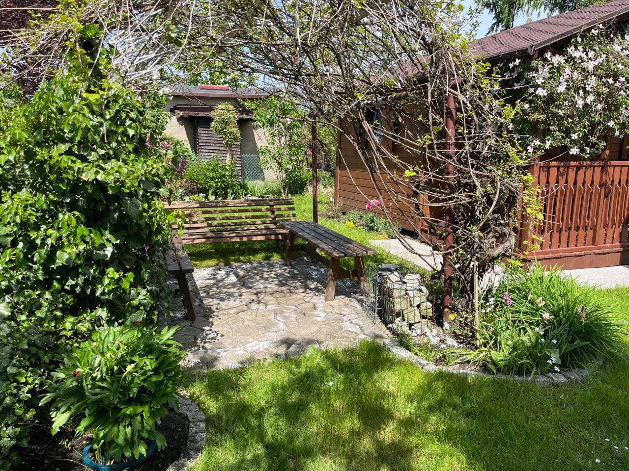 Działka rod Radzionków. Zdjęcie 2