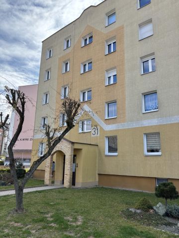 Mieszkanie 4-pokojowe Koszalin Przylesie, ul. Kazimierza Wyki. Zdjęcie 15