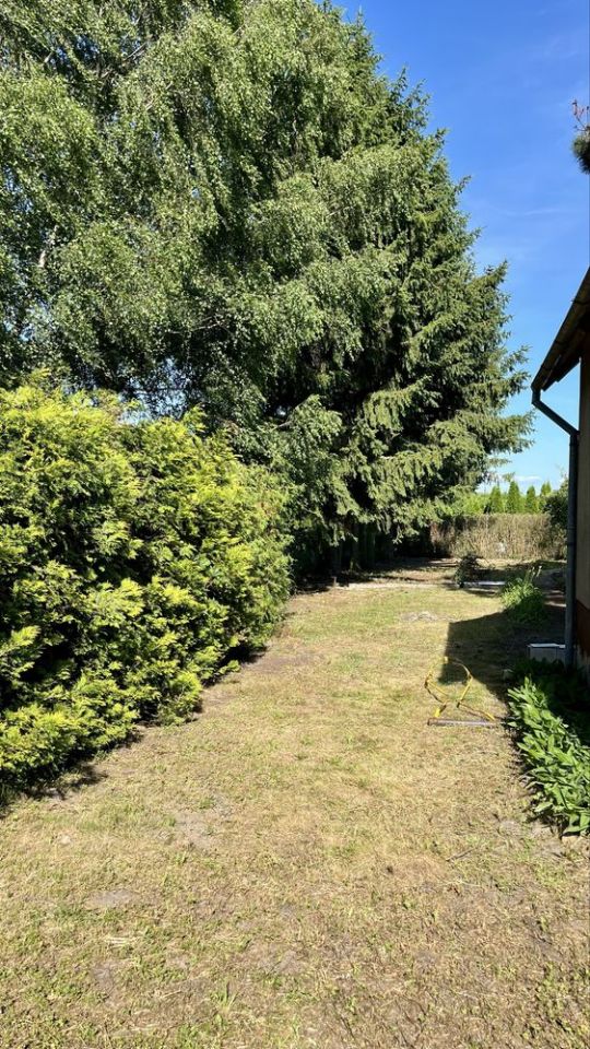 Działka rod Ciechanów, ul. Opinogórska. Zdjęcie 7