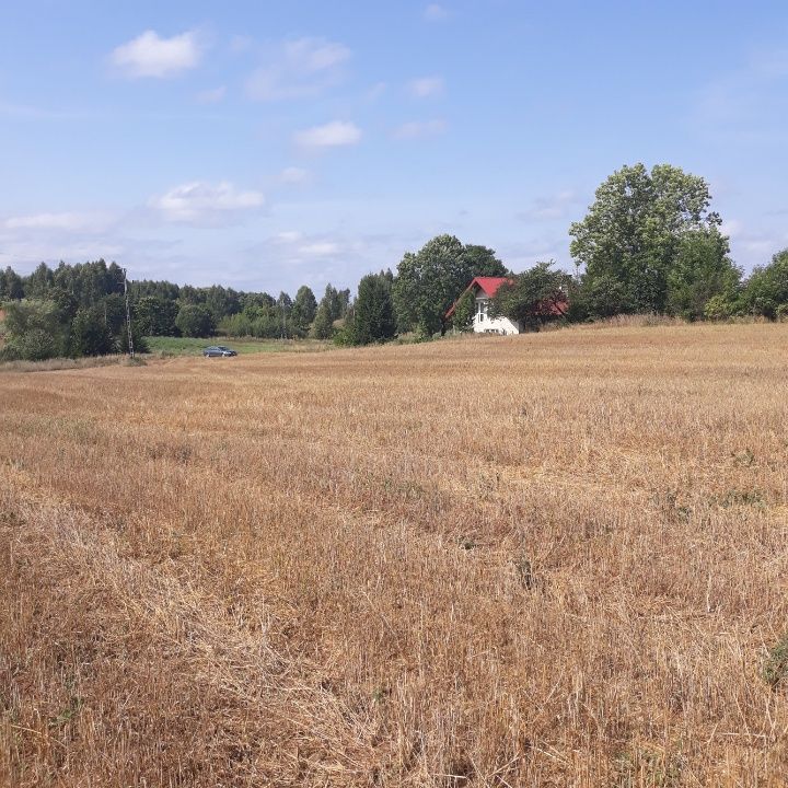 Działka rolno-budowlana Bałamutowo. Zdjęcie 8