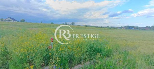 Działka budowlana Bielkowo. Zdjęcie 2