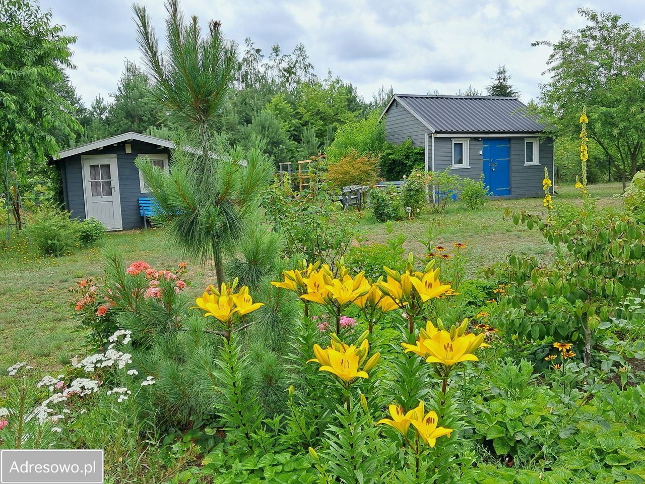 siedlisko, 1 pokój Wólka Szczawińska. Zdjęcie 4