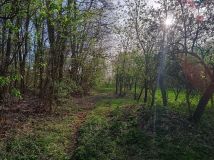 Działka budowlana Nagawki. Zdjęcie 2