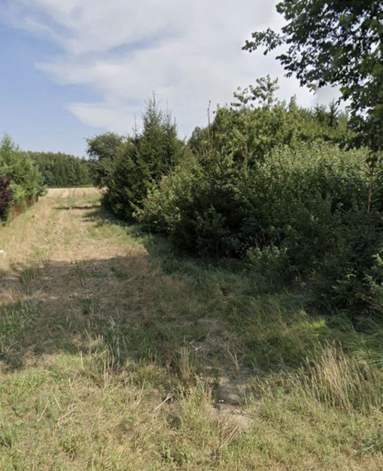 Działka siedliskowa Jarosławiec Reforma. Zdjęcie 6