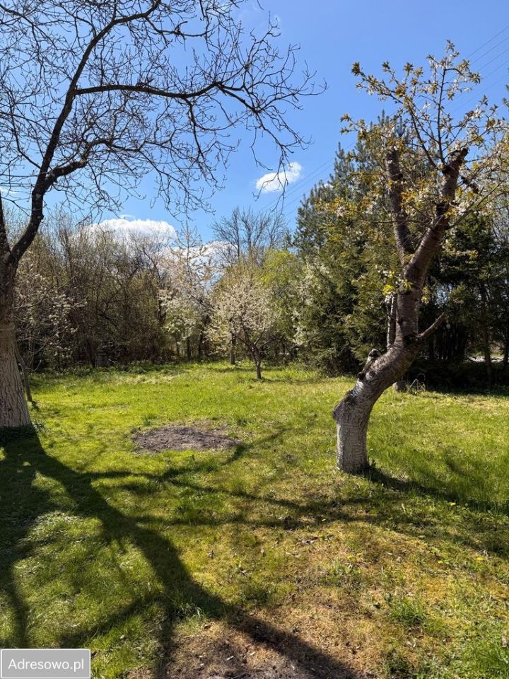 Mieszkanie 4-pokojowe Gruszewo. Zdjęcie 7