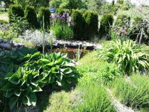 Działka rod Bolesławiec, ul. Staroszkolna. Zdjęcie 4