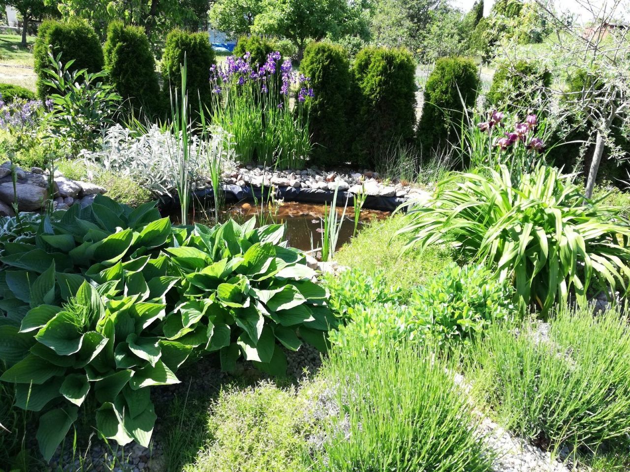 Działka rod Bolesławiec, ul. Staroszkolna. Zdjęcie 5