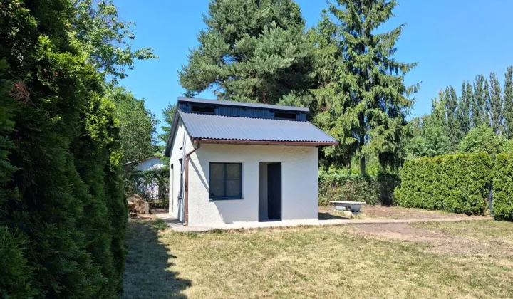 Działka rod Czeladź Piaski, ul. Borowa
