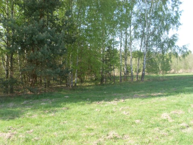 Działka budowlana Gurba, ul. Główna. Zdjęcie 1