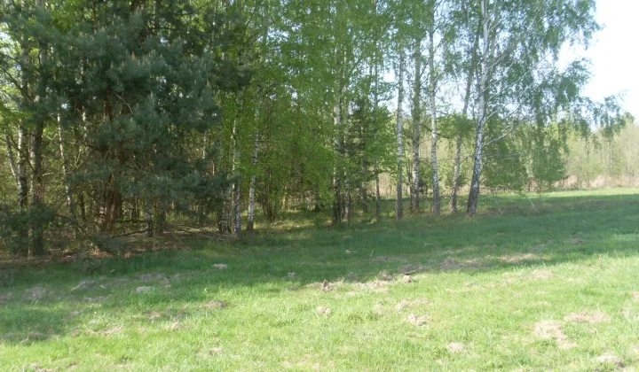 Działka budowlana Gurba, ul. Główna
