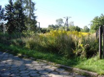 Działka budowlana Sosnowiec Ostrowy Górnicze, ul. Górna. Zdjęcie 1